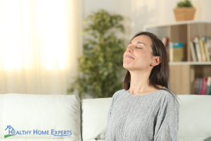 clean air in your home