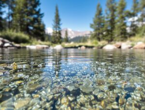 Microplastics in Colorado mountain stream near home, highlighting plastic contamination in local water.